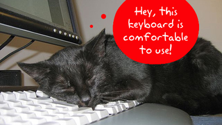 Question of the Day: What Type of Keyboard Is the Best to Use?